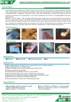 Nonwoven Fresh Wipes (Read pdf)